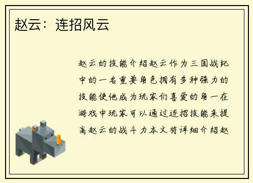 赵云：连招风云